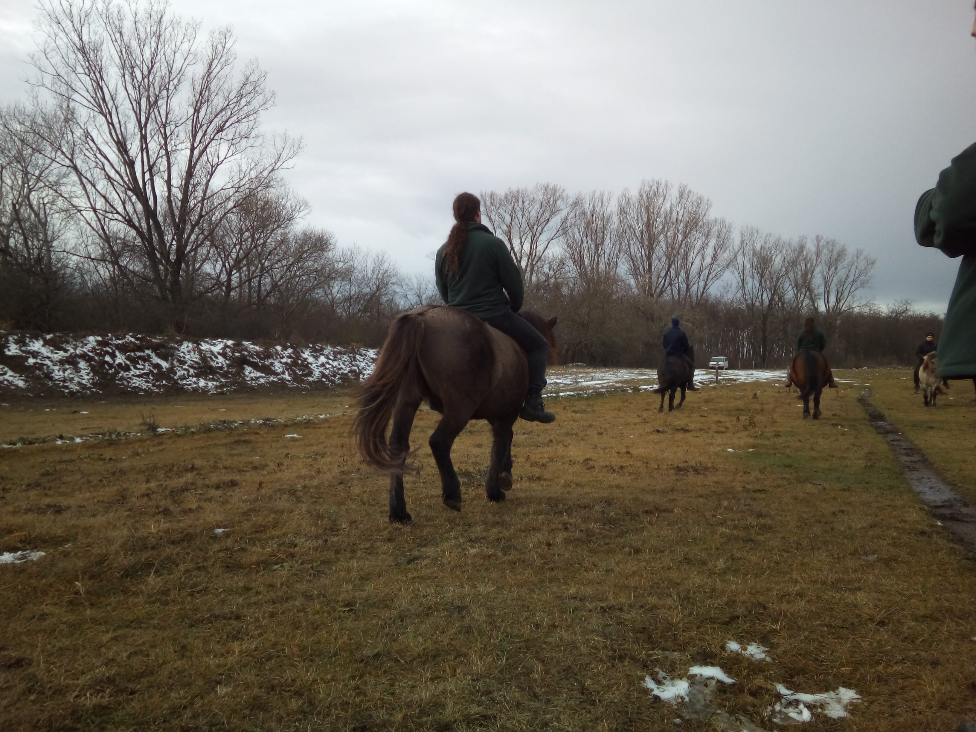 Training with the horses without a saddle