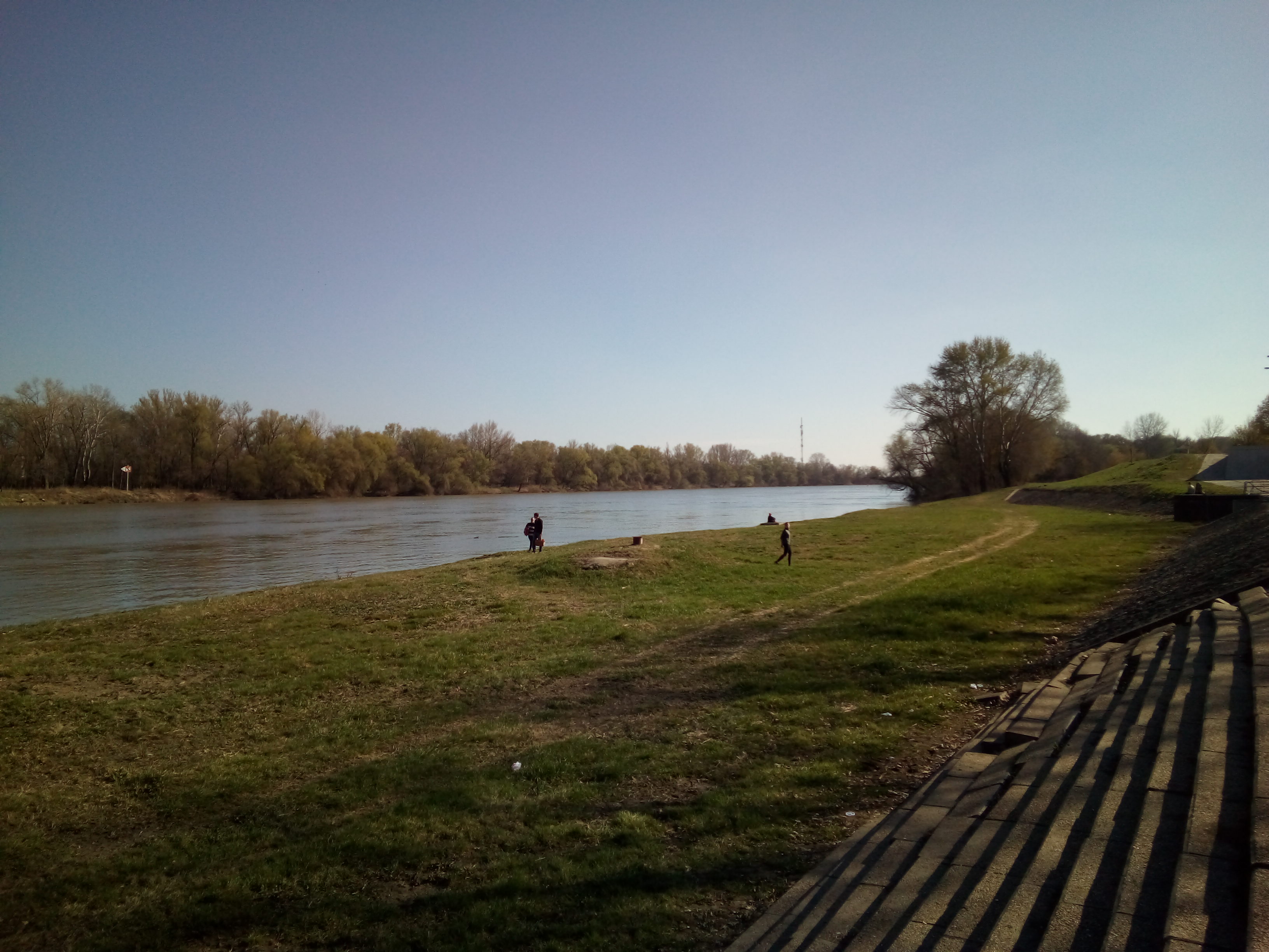 The Tisza in the sunshine